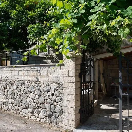 Wild Orange Apartman